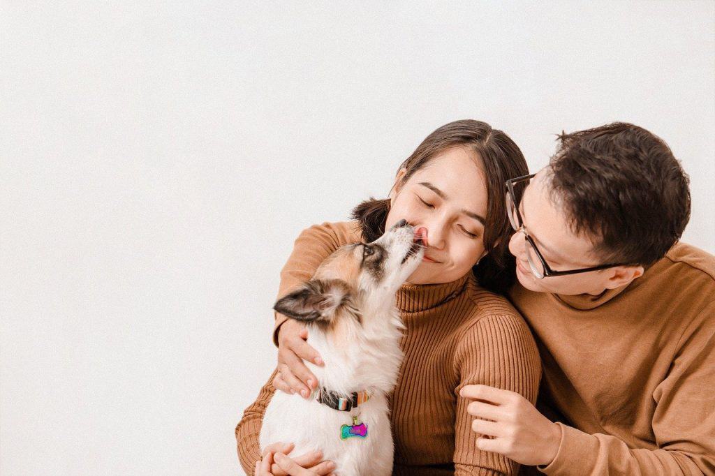 a couple's cute dog licking its owner's nose