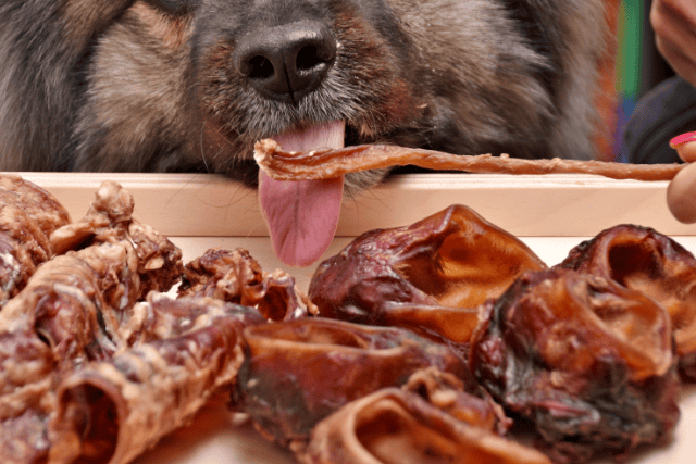 freeze-dried meat for dogs